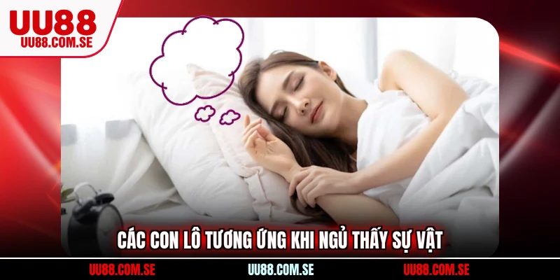 Các con lô tương ứng khi ngủ thấy sự vật