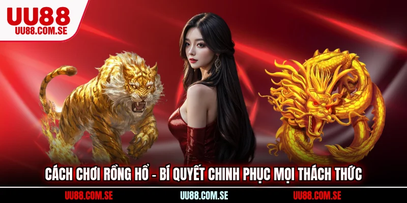cách chơi Rồng Hổ
