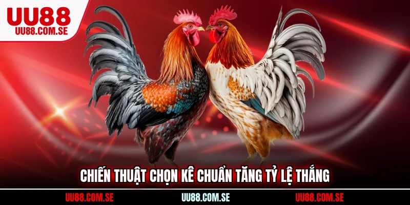 Chiến thuật chọn kê chuẩn tăng tỷ lệ thắng