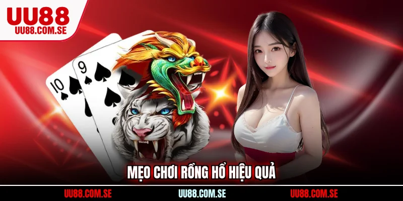 Mẹo chơi Rồng Hổ hiệu quả