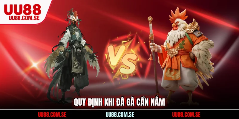 Quy định khi đá gà cần nắm