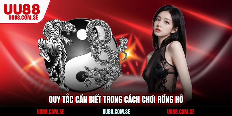 Quy tắc cần biết trong cách chơi Rồng Hổ