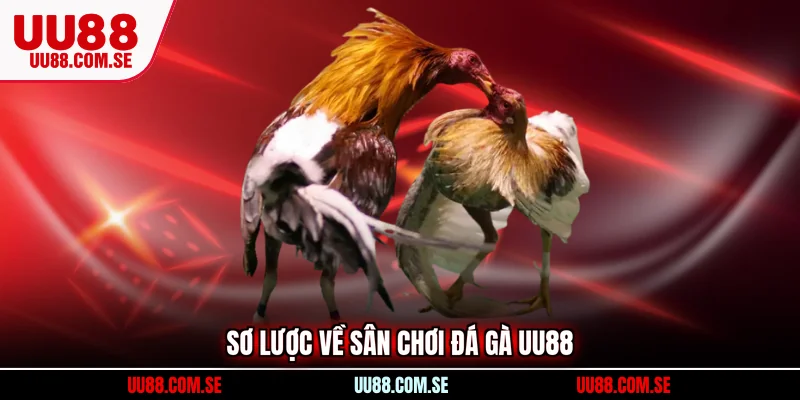 Sơ lược về sân chơi đá gà UU88